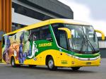 Marcopolo Paradiso G7 1200 4x2 2010 года